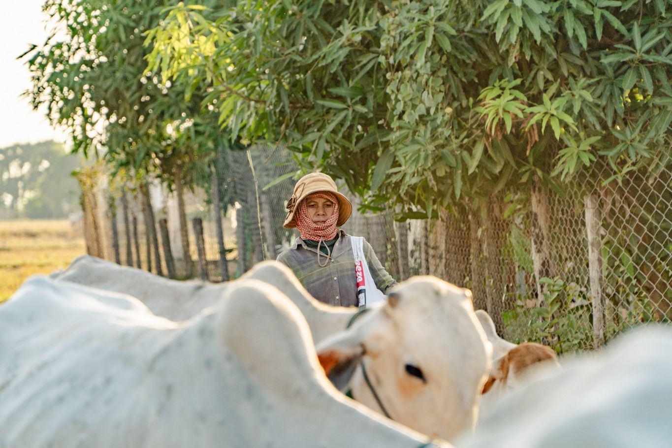 Empowering Education